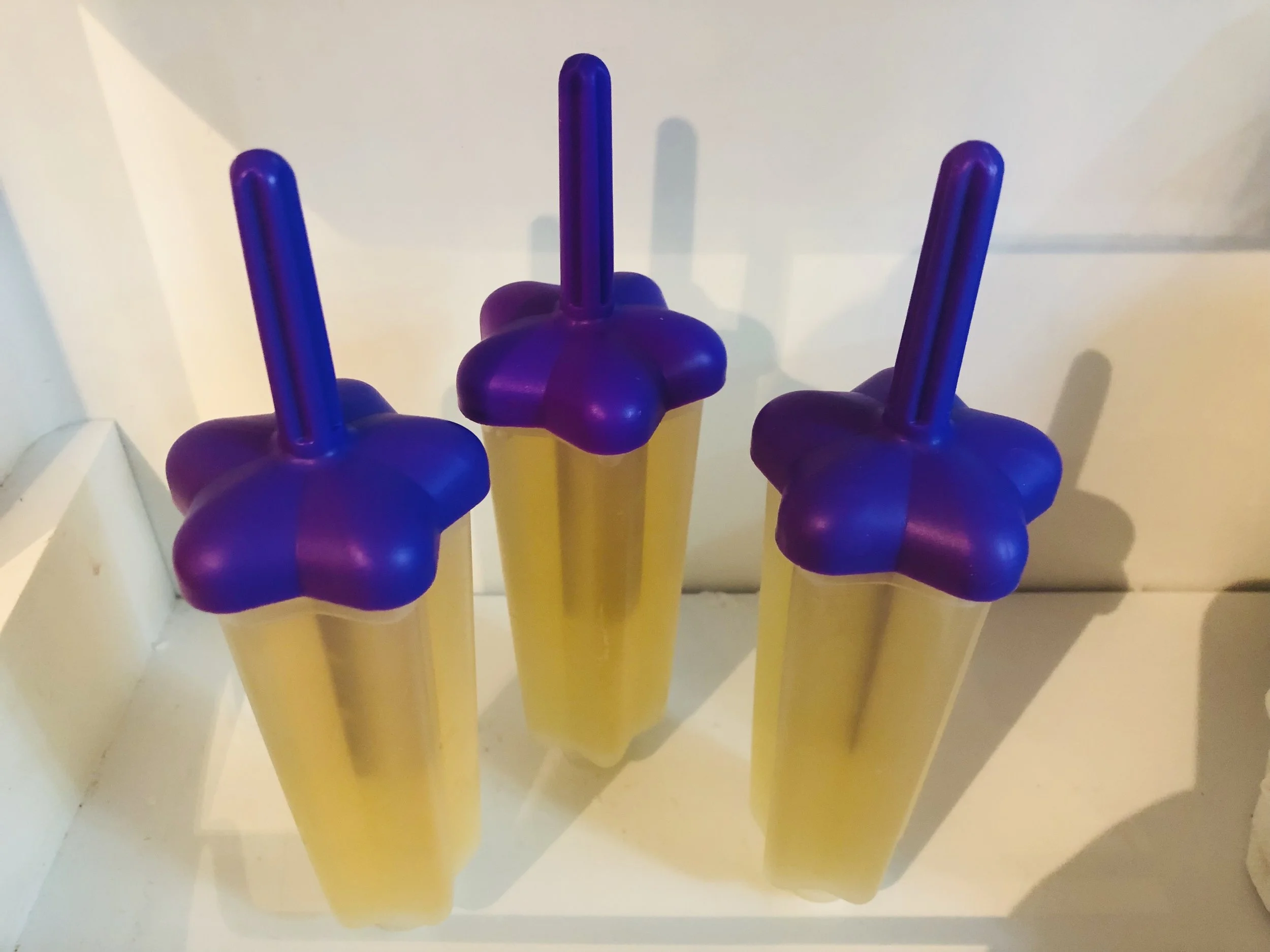 Happy Tummy “Ginger-Lemon” Popsicles