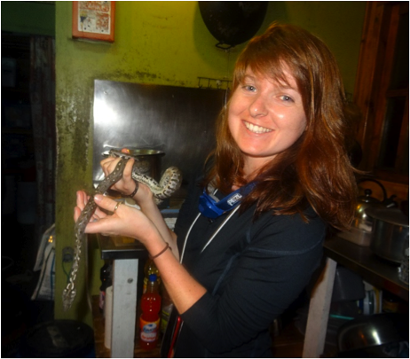handling the Boas for morphometrics on Round Island during our night boa survey