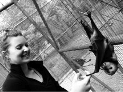hanging with Sherlock, the cutest most curious bat at the sanctuary