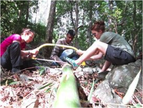Hannah (fellow PGDiper) and I chopping down some bamboo to build a shelter at Lower Black River Gorges National Park