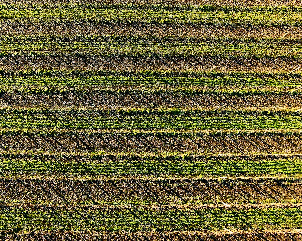 DJI01598.jpg