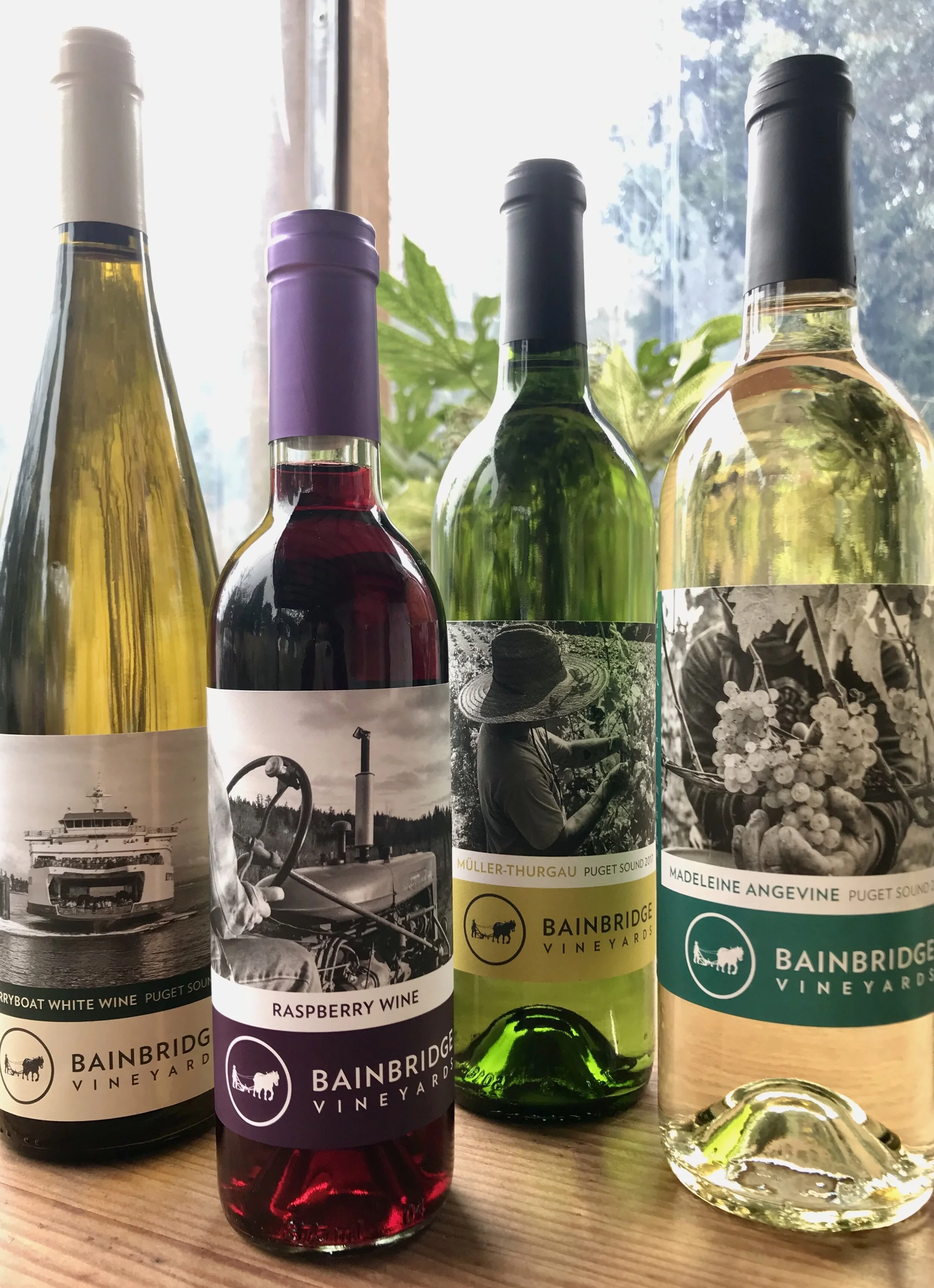 Events/ Pop-Ups — Bainbridge Vineyards