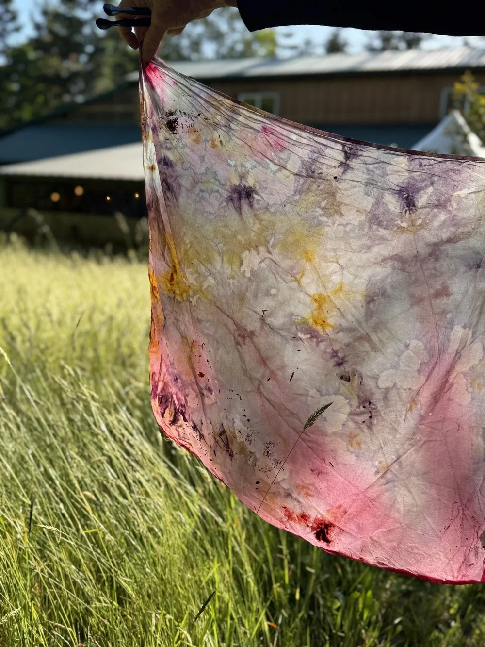 Natural Tie-Dye Workshop with Pine & Cactus