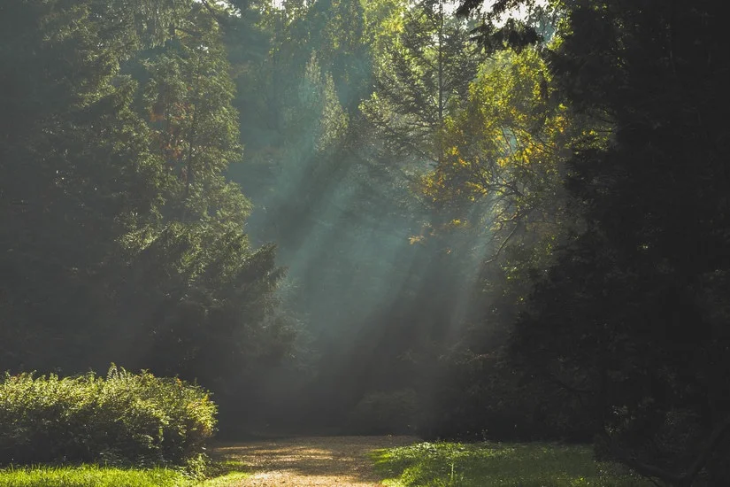What is the purpose of our lives? View Post