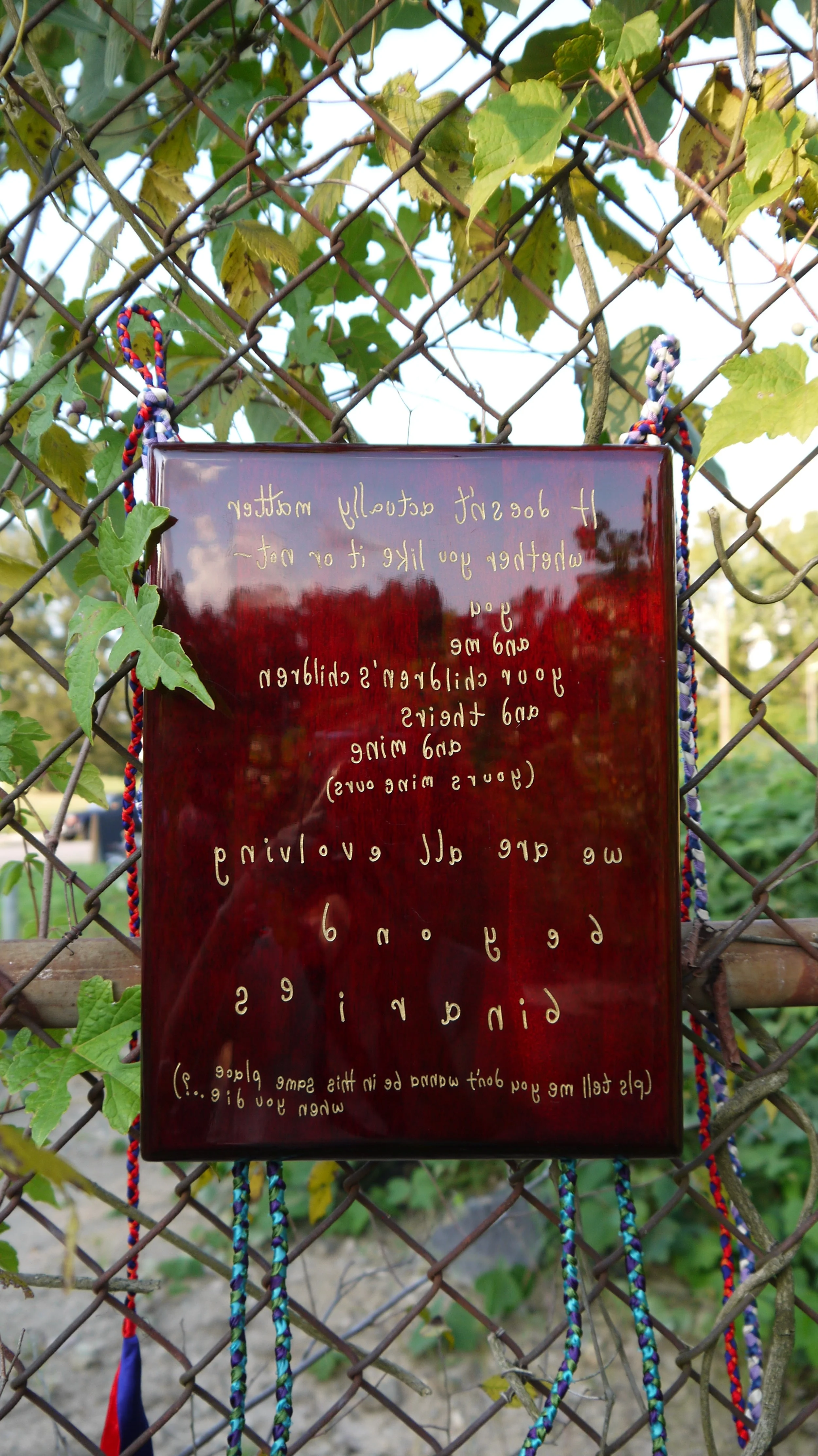 P1080935.JPG