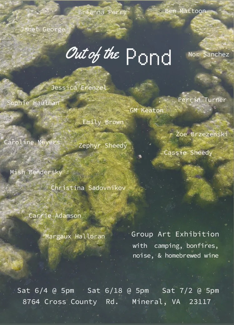 Out of the Pond Poster.JPG
