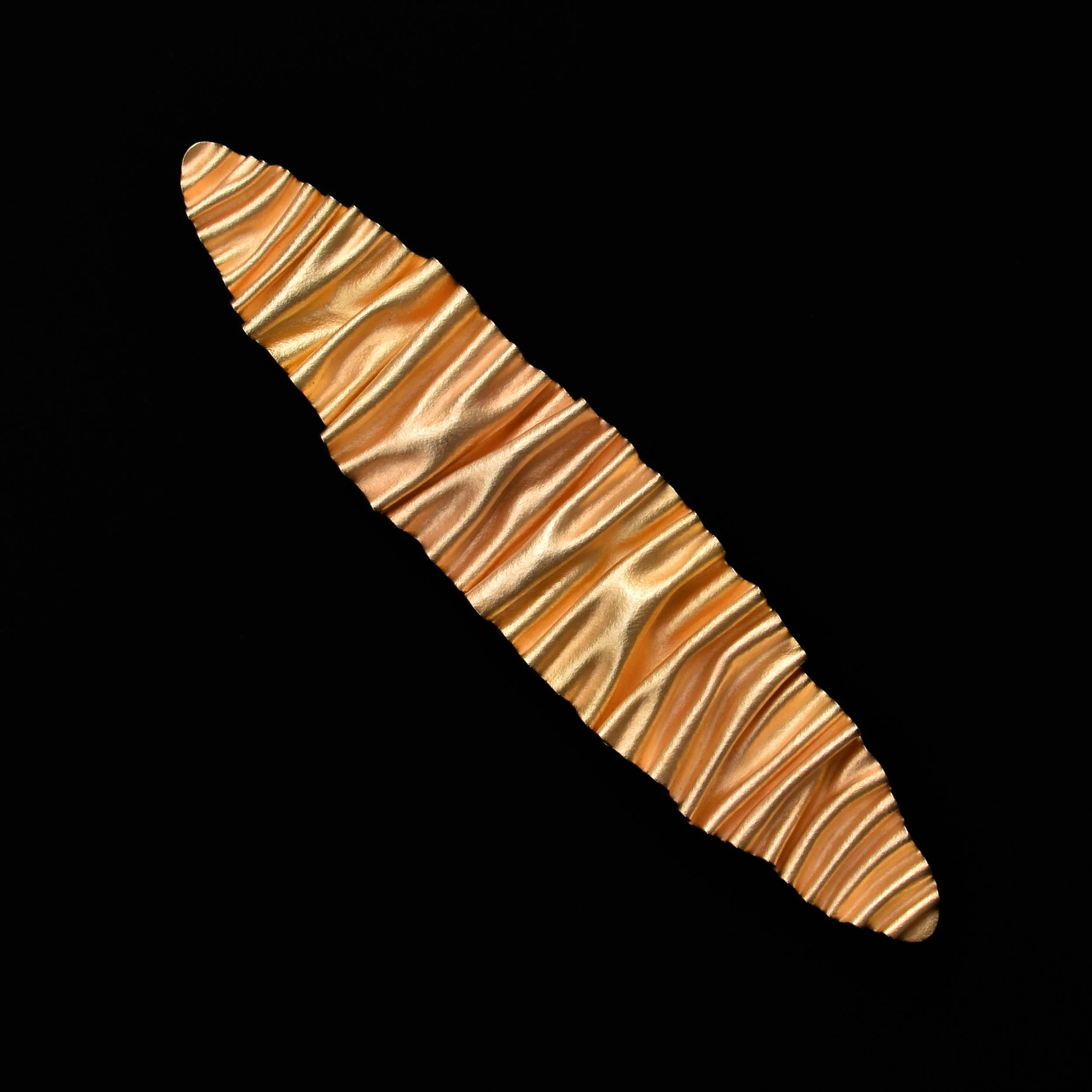 DSC_0779.jpg