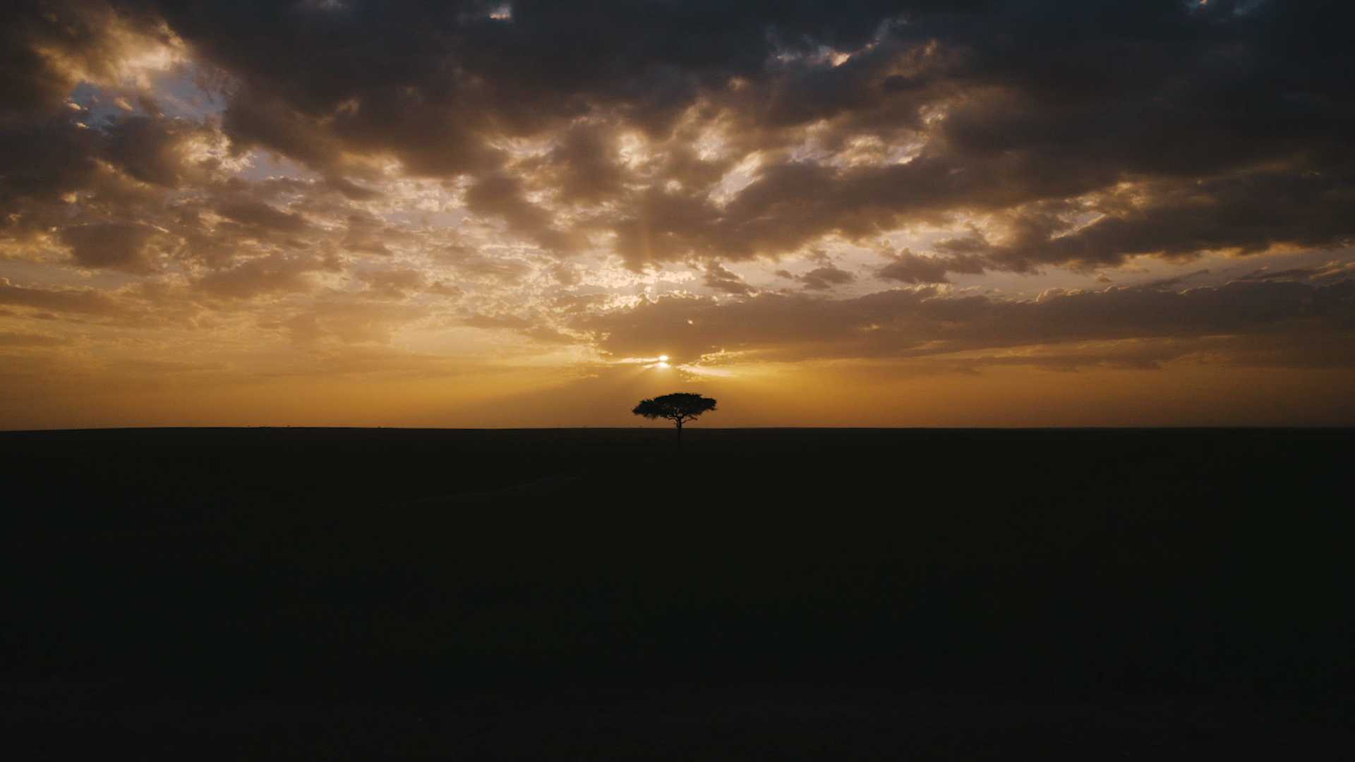 vlcsnap-00019.png