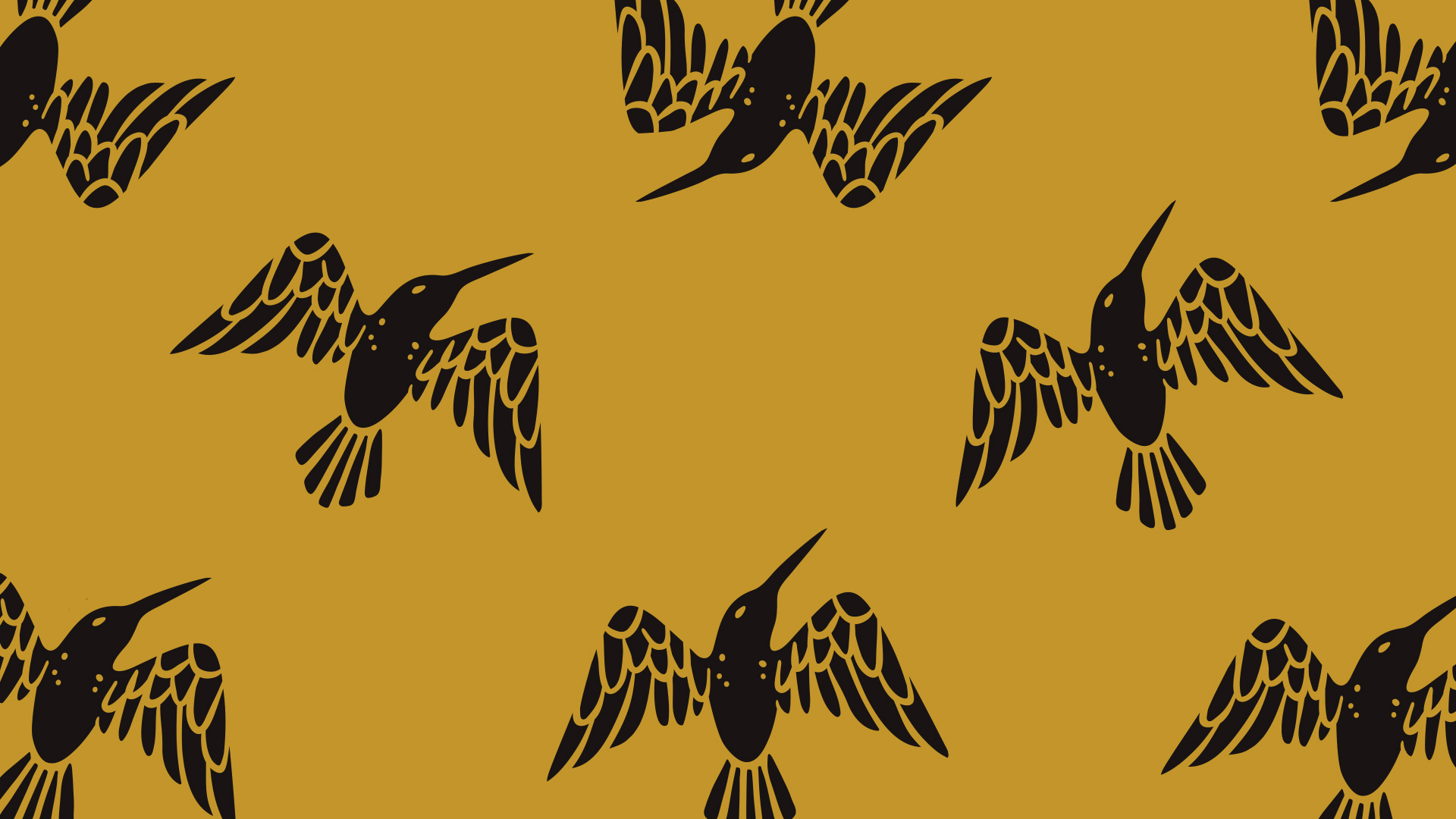 COMMANDOCOLIBRE_07.jpg