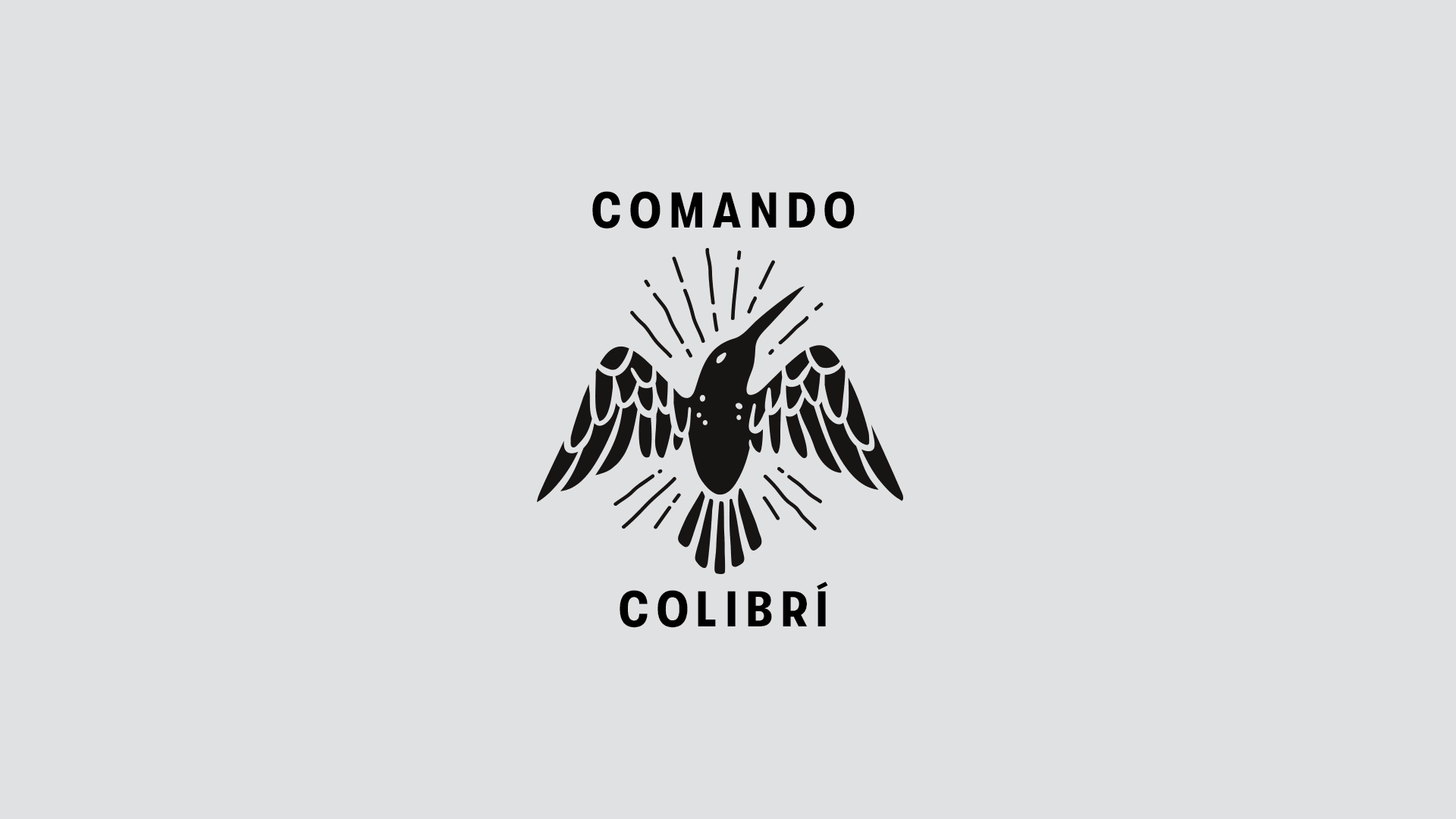 COMMANDOCOLIBRE_02.gif