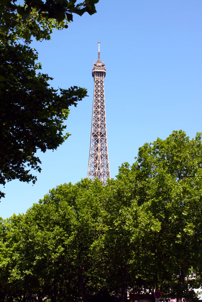 IMG_9014.jpg