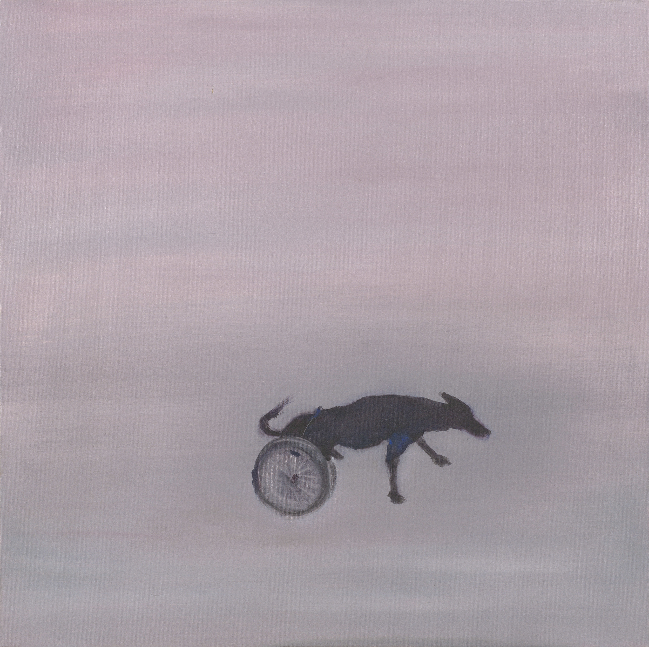 Single Dog    30"x30"