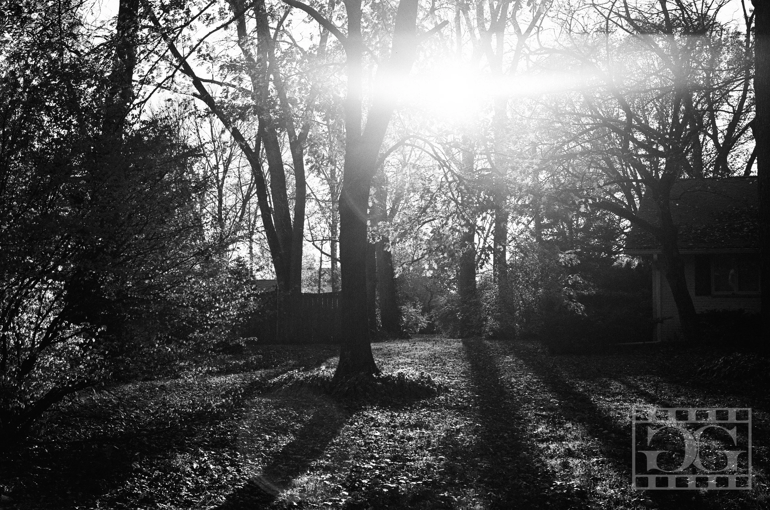 Film Photography 01.jpg