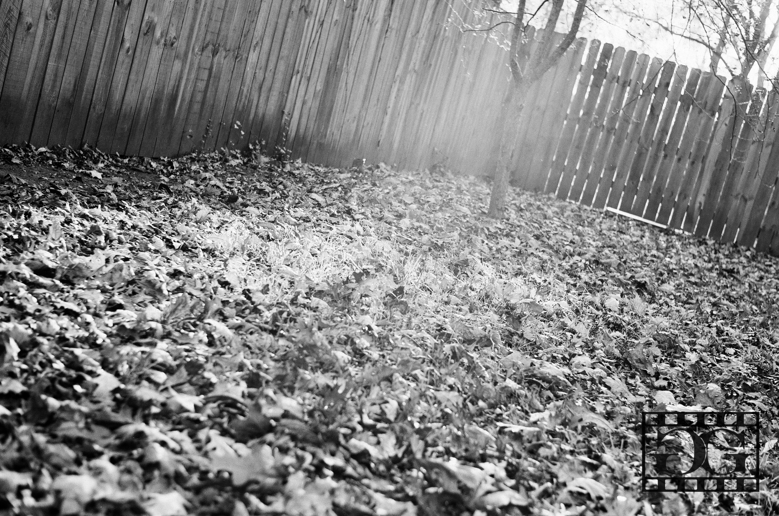Film Photography 02.jpg