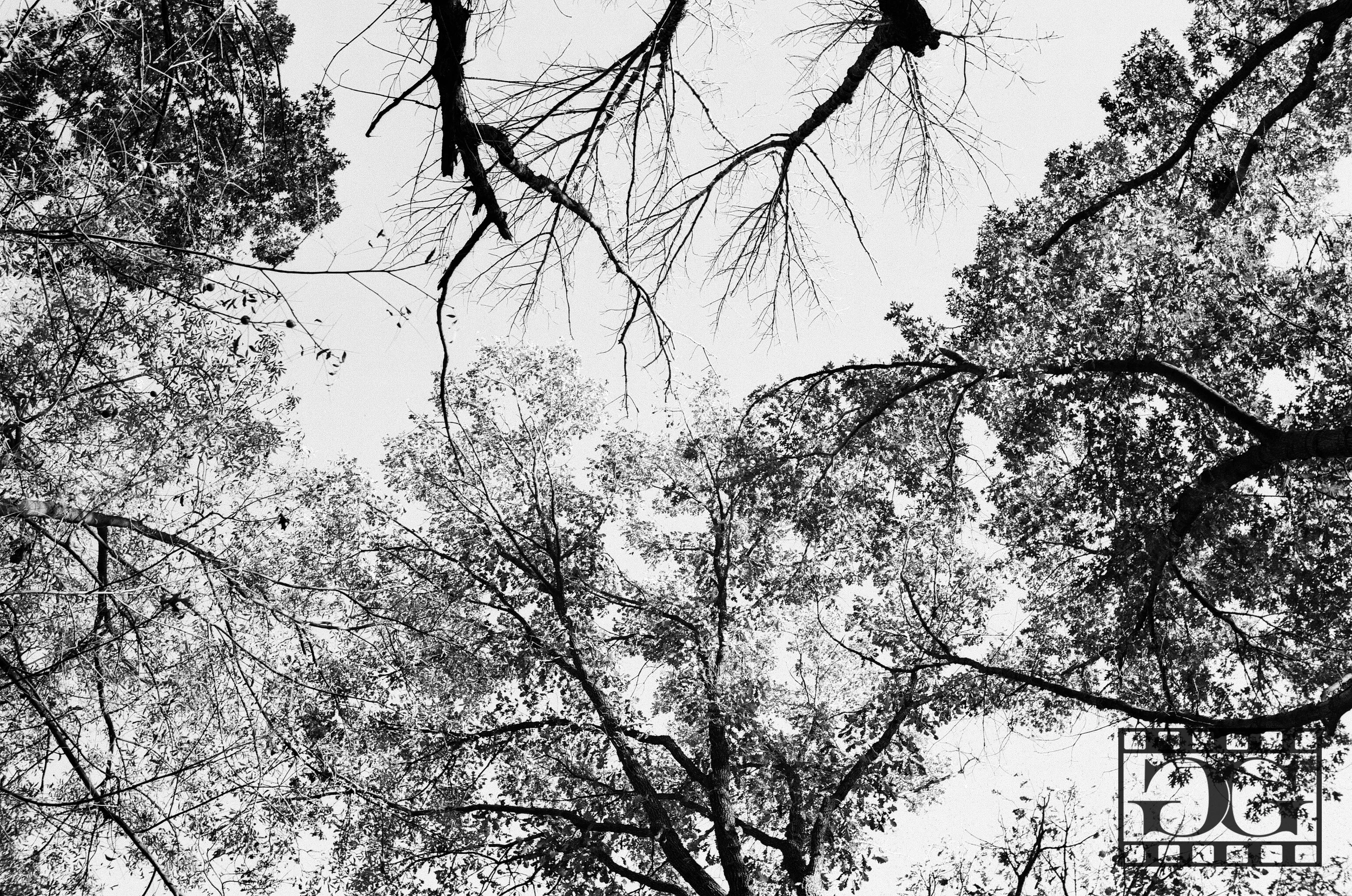 Film Photography 03.jpg