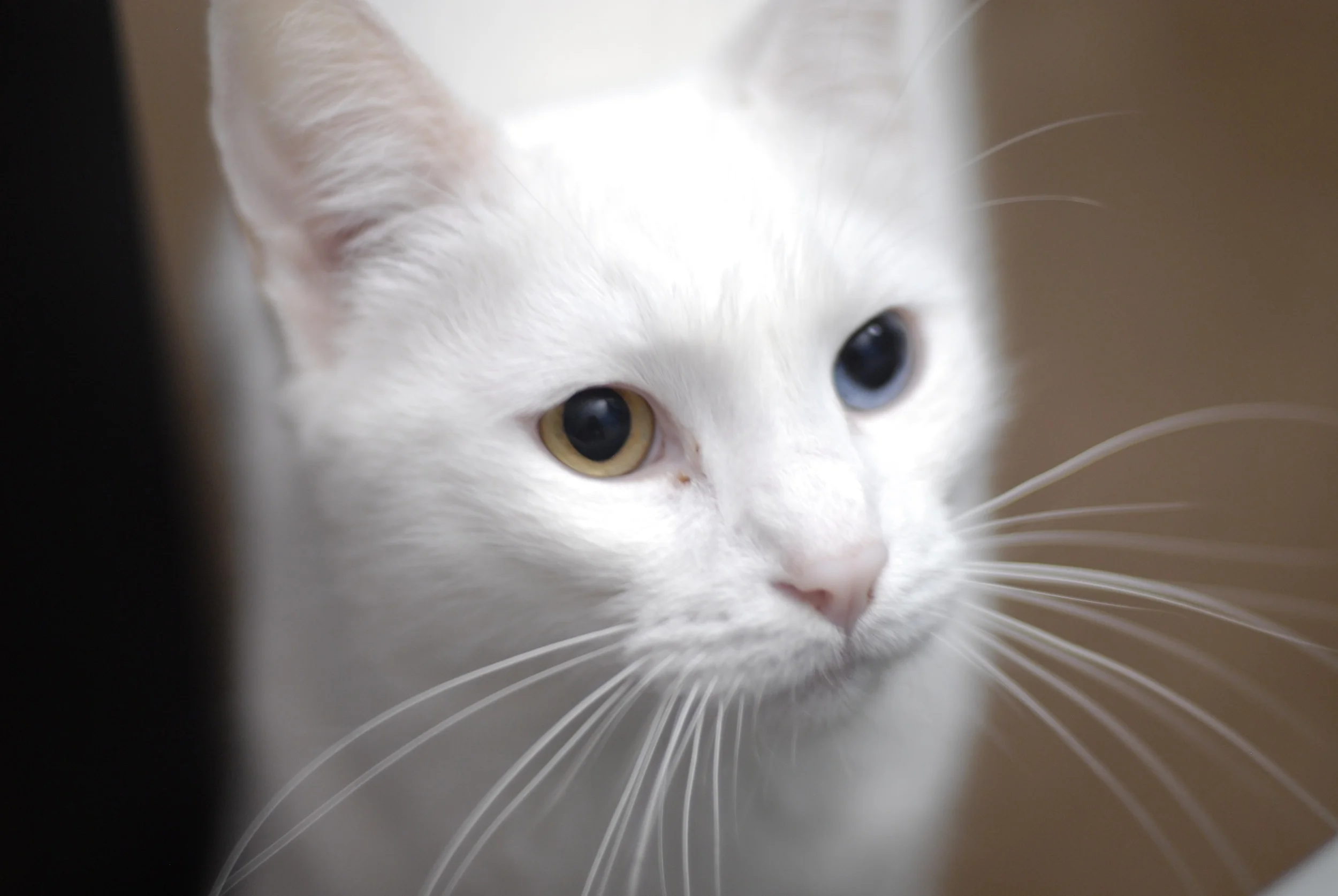 SEVEN  Ways That Therapy Can Really Help You (by Jamie Brazell)