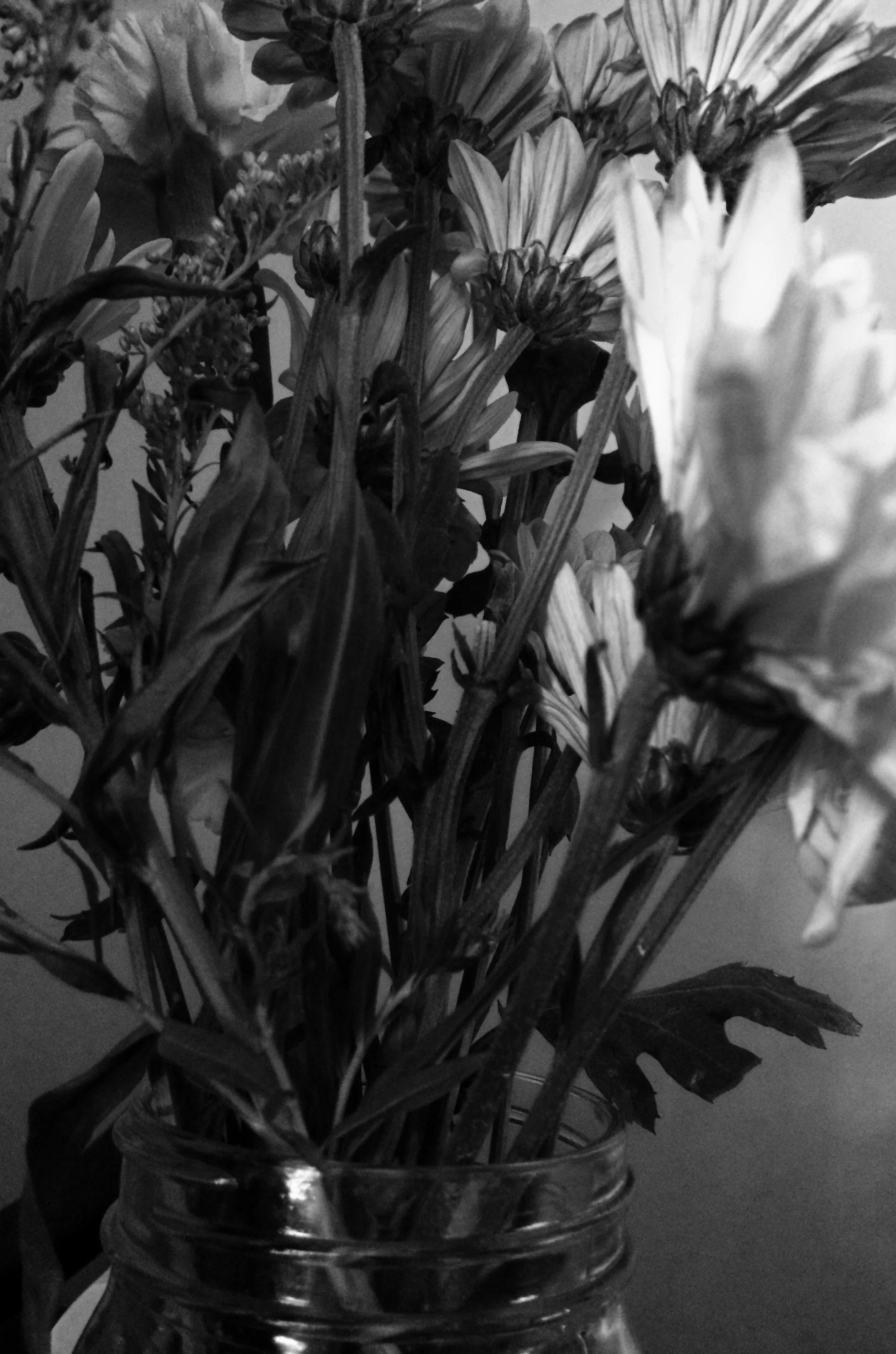 It’s Ok to Feel Ungrateful Sometimes (by Jamie Brazell)