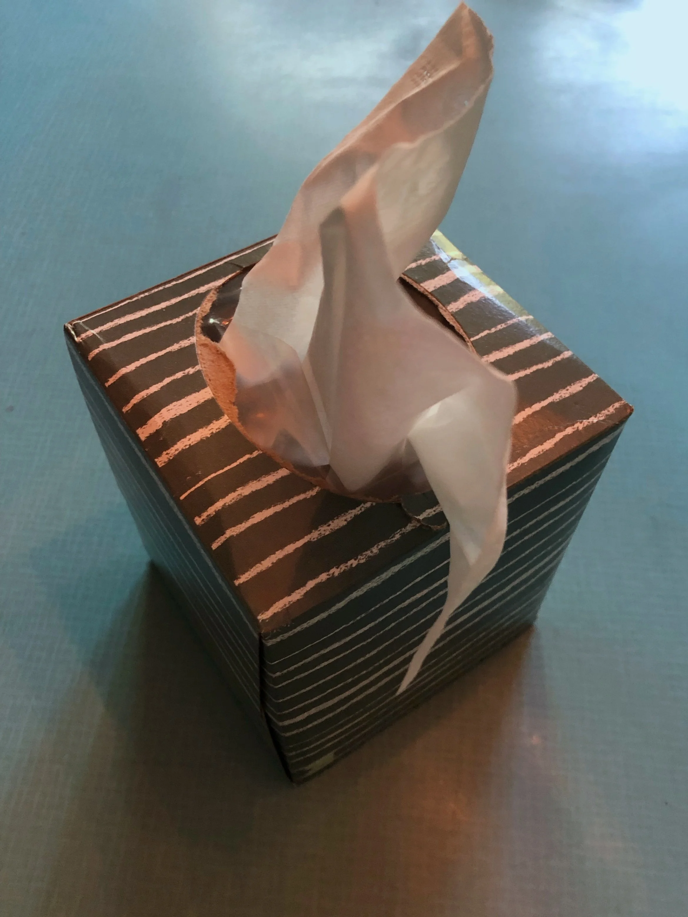 There are plenty of tissues to go around in my world.