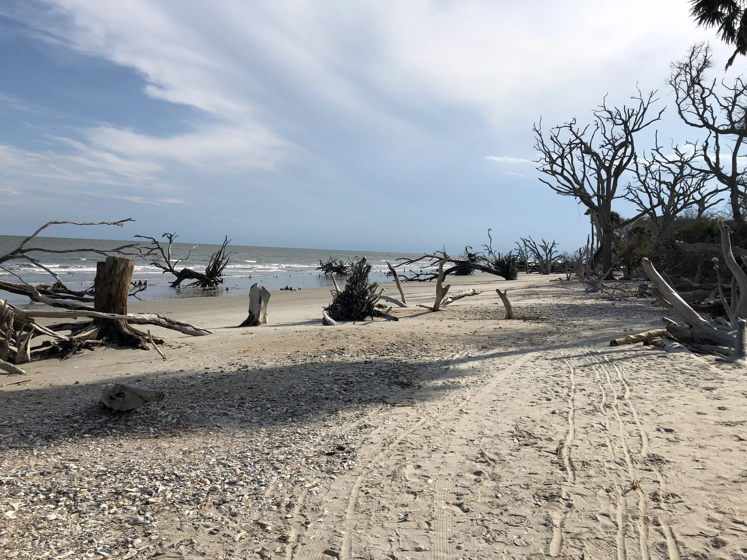 on boundaries (by Jamie Brazell)