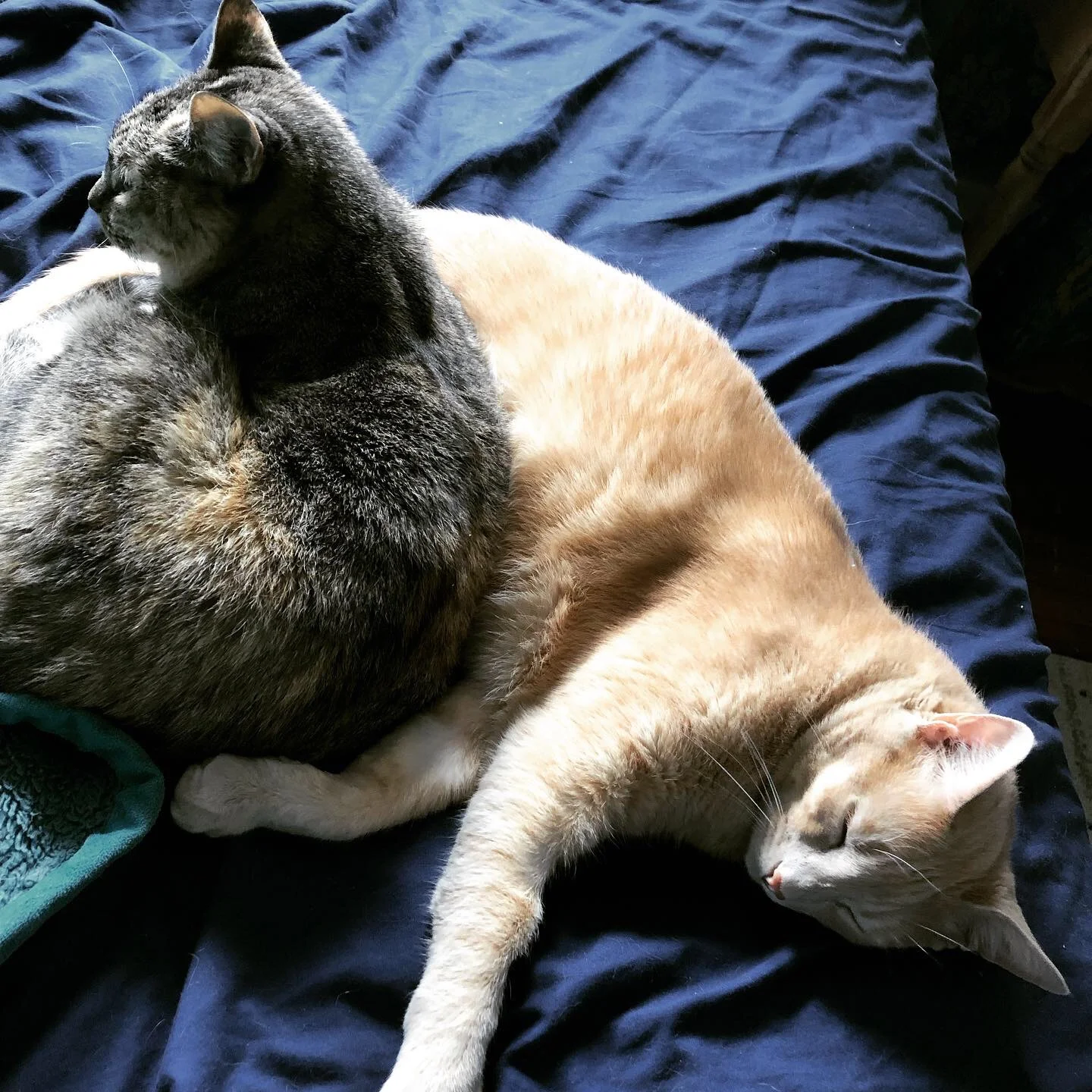 on accountability and repair (by Jamie Brazell)