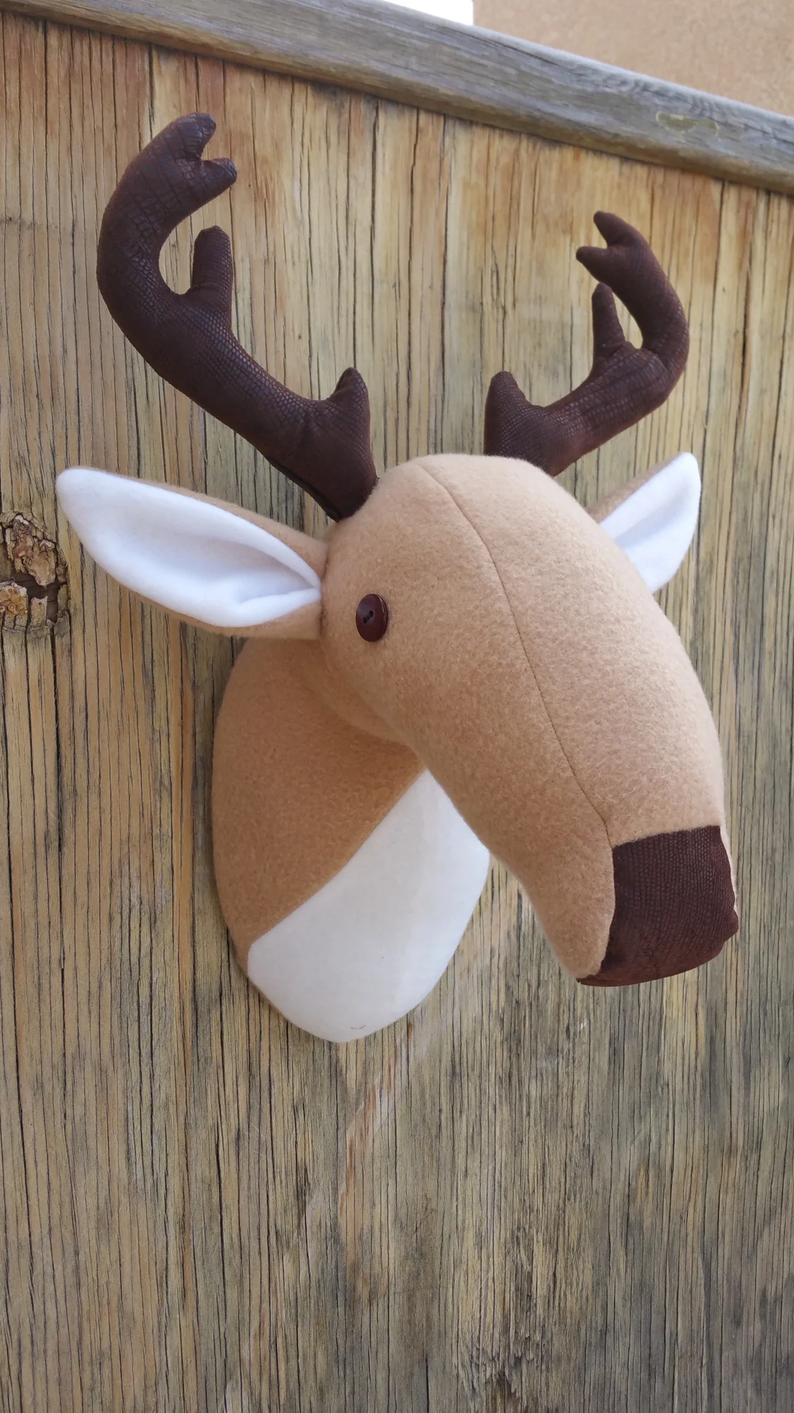 HUGHES cathie - moose head.jpg