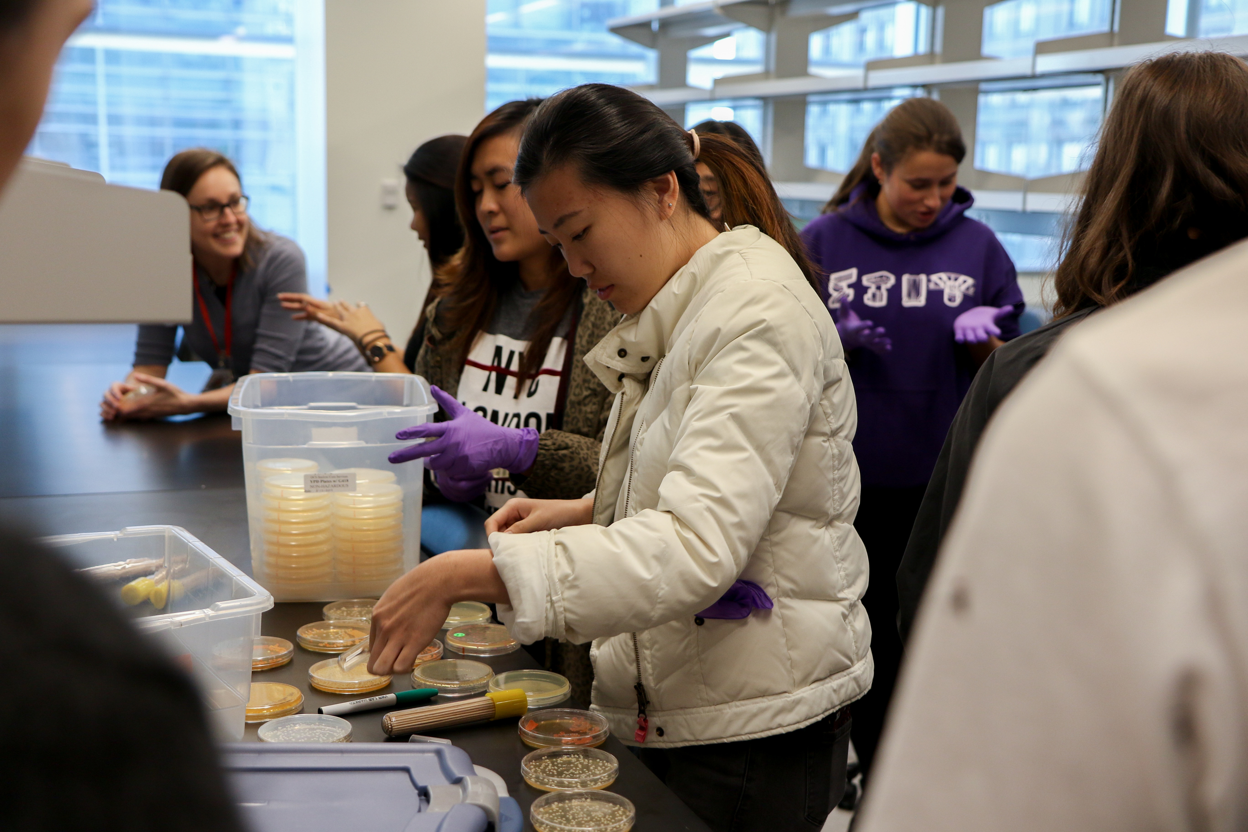 NYU - YEAST ACTIVITY 7.jpg