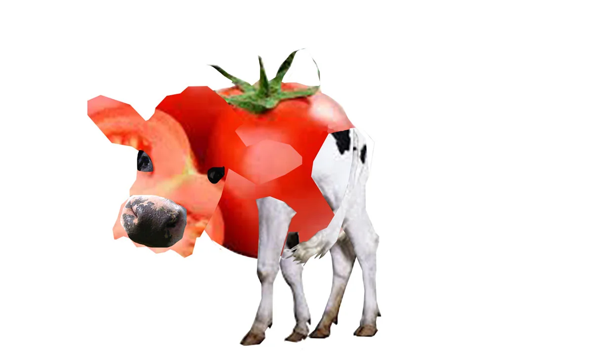 Myo-tomato007.jpg