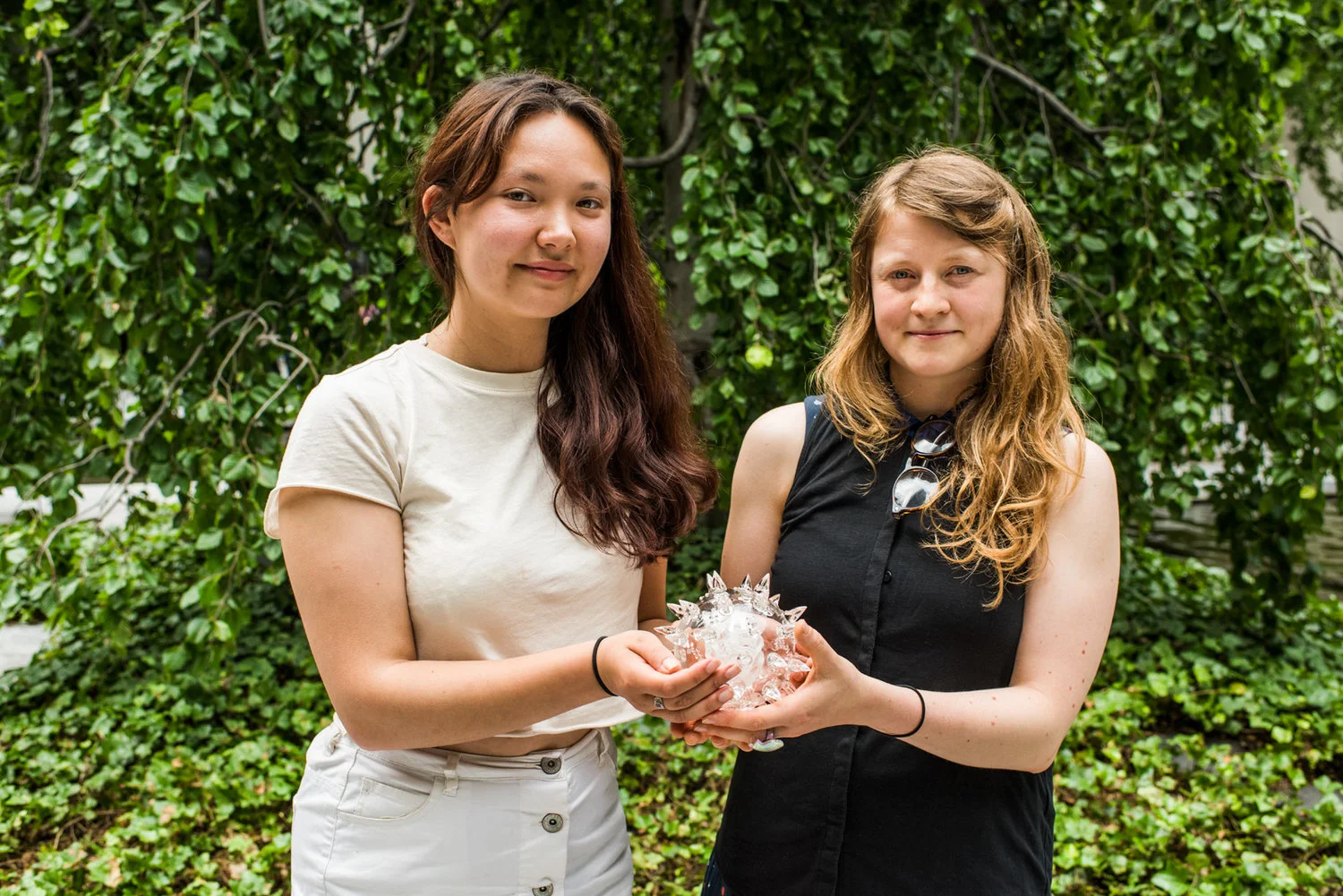 CSM Team Wins Biodesign Challenge 2017
