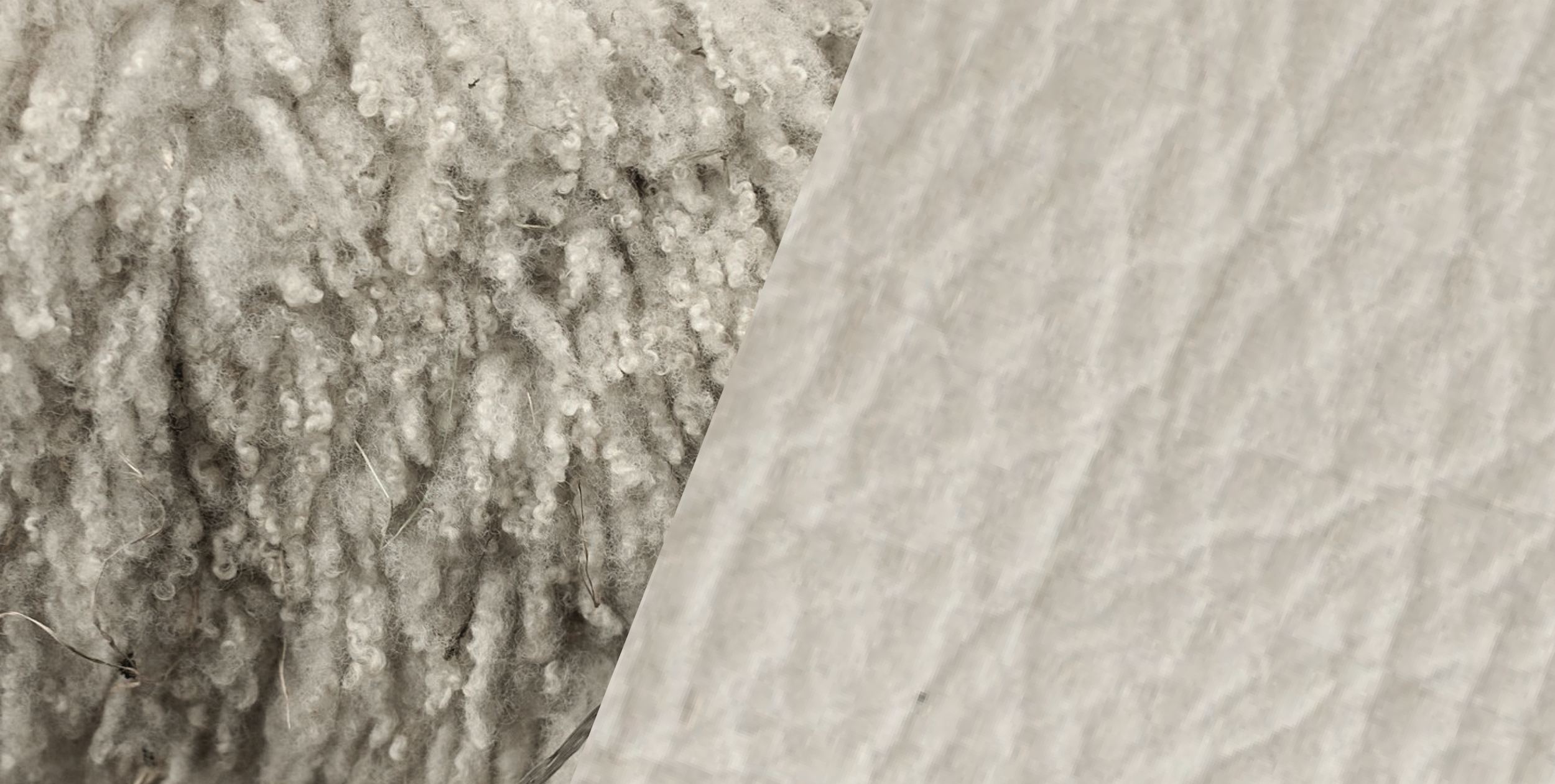 Announcing the Animal-Free Wool Prize with PETA, Stella McCartney, and Stray Dog Capital