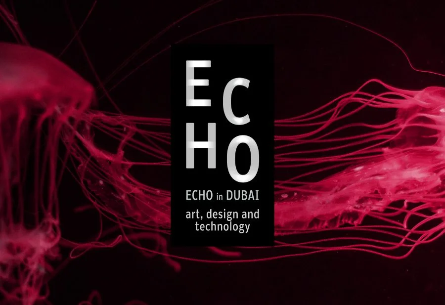 Alison Irvine and Daniel Grushkin of BDC Present at ECHO Dubai 2017