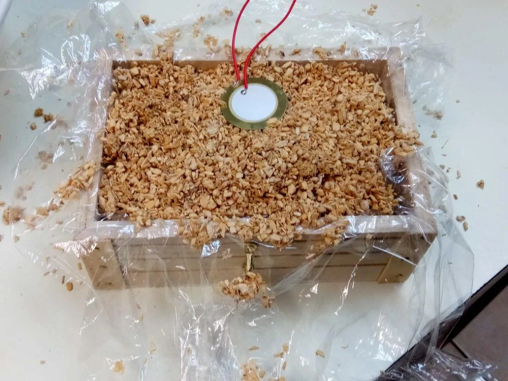 mycelium brick growth.JPG