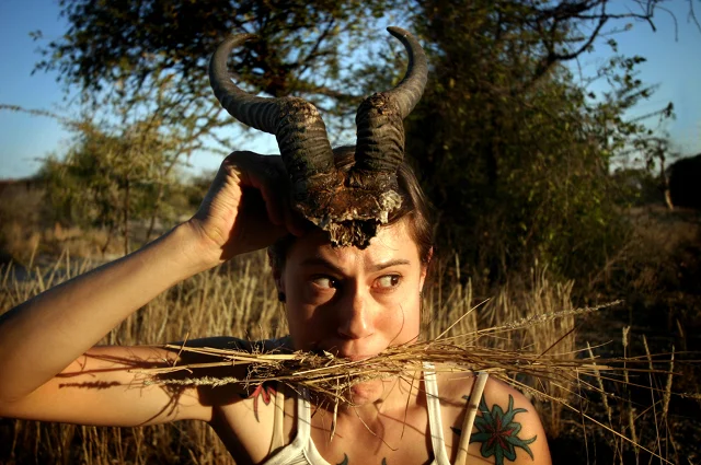 Springbok.jpg