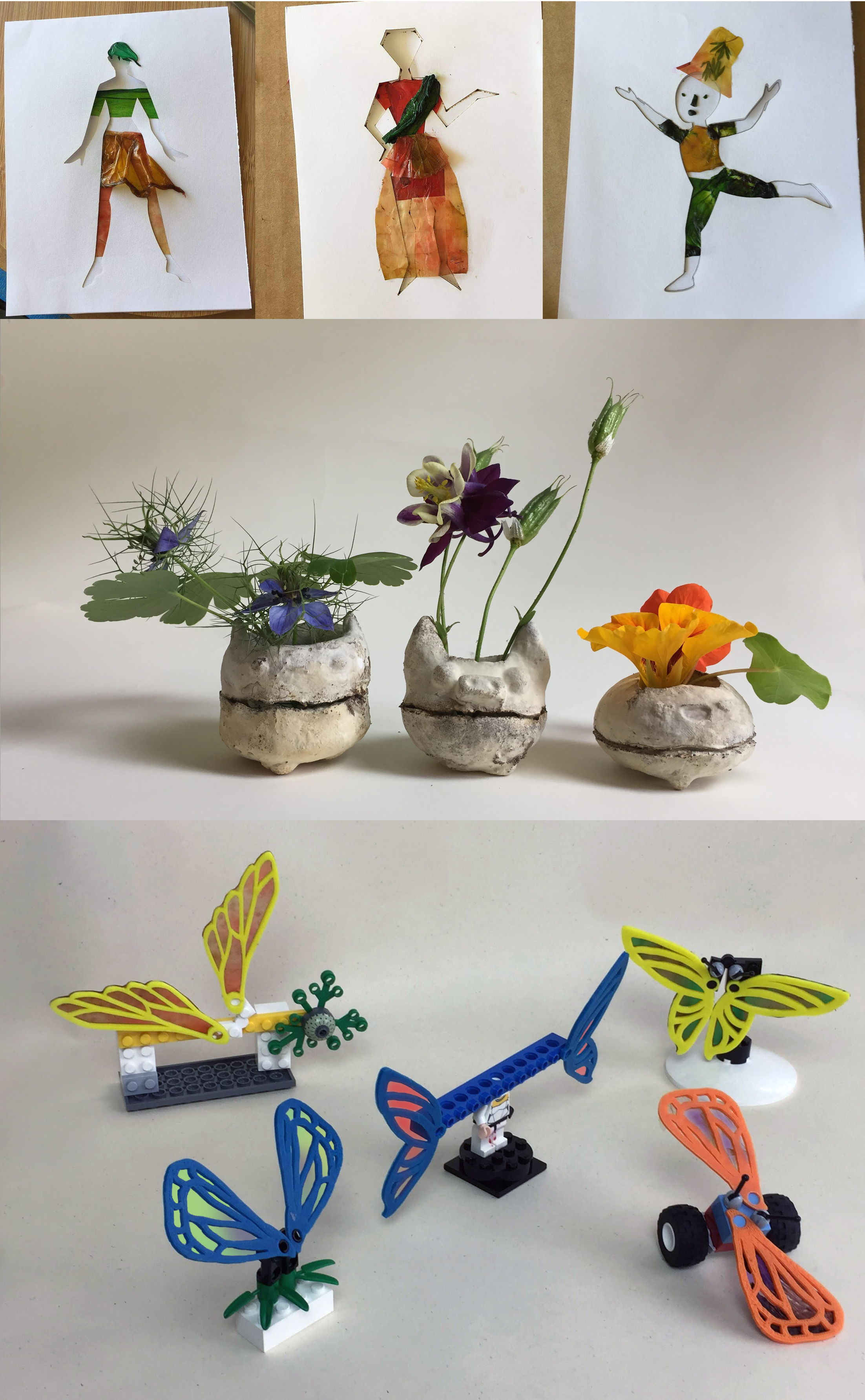 GIY Bio Buddies Project final images.jpg