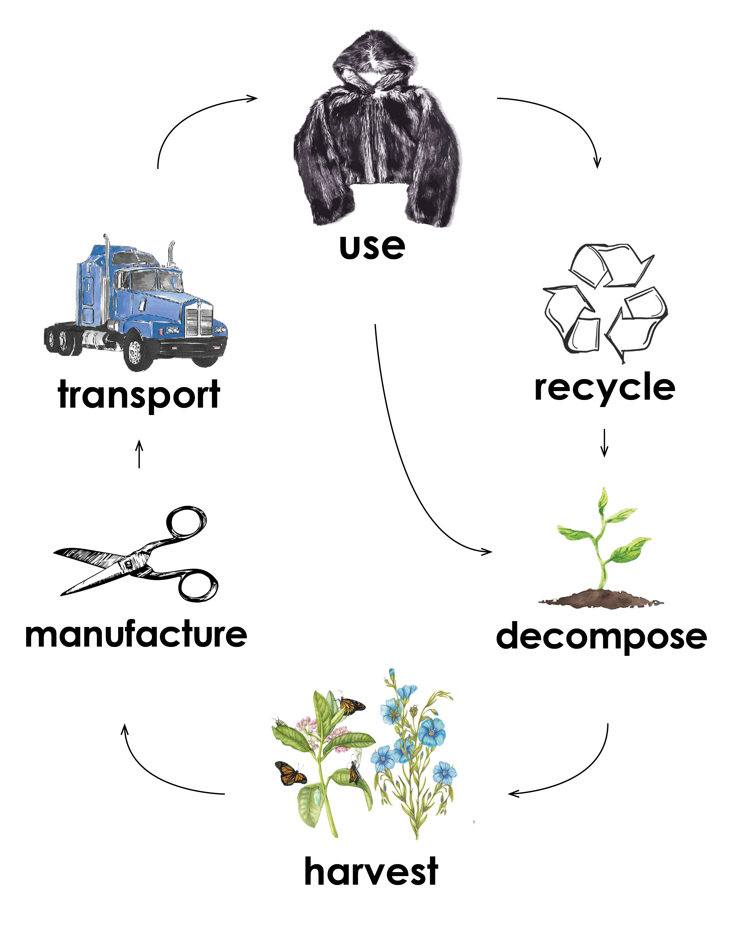flora cycle.png