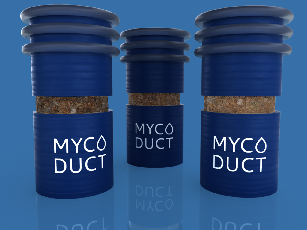 Mycoduct_straw 3.jpg