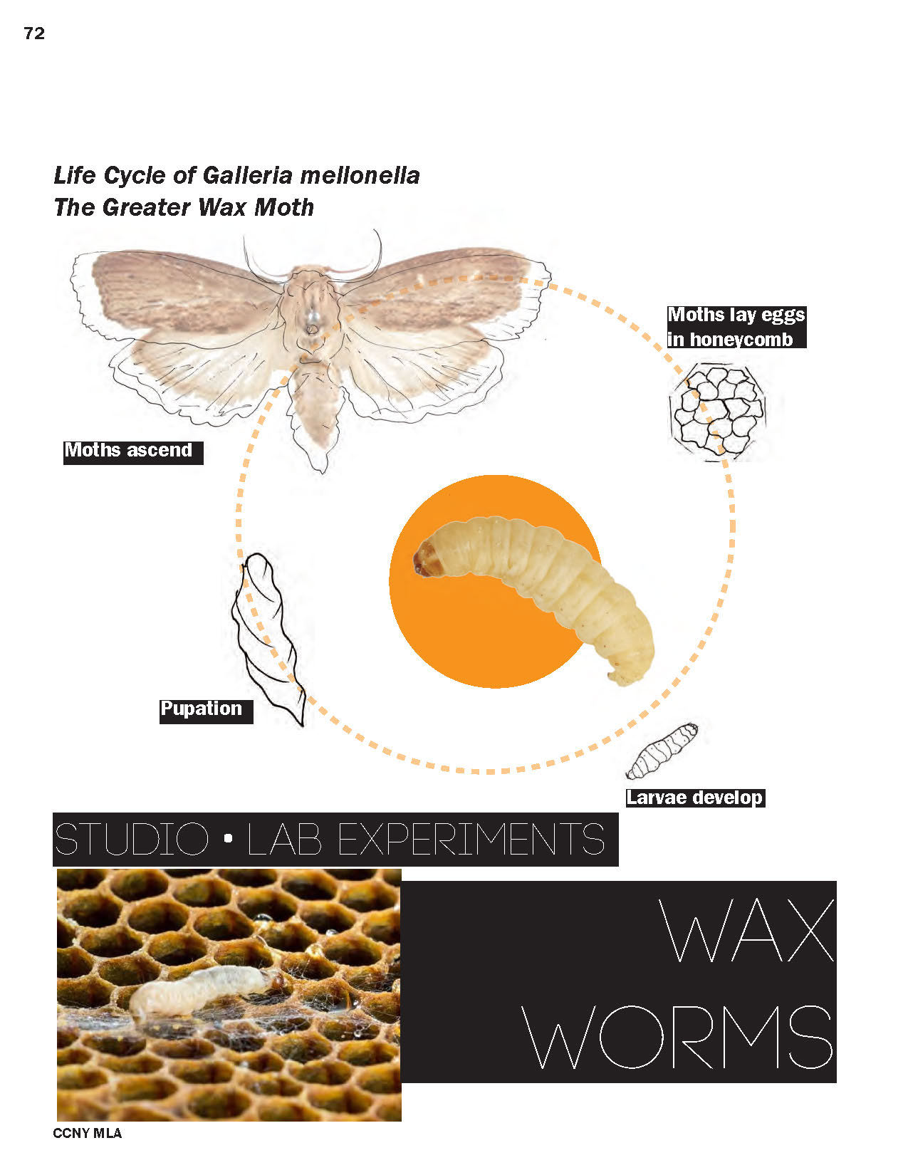 ccny-bdc-submission_05.28.19-lores_Page_72.jpg