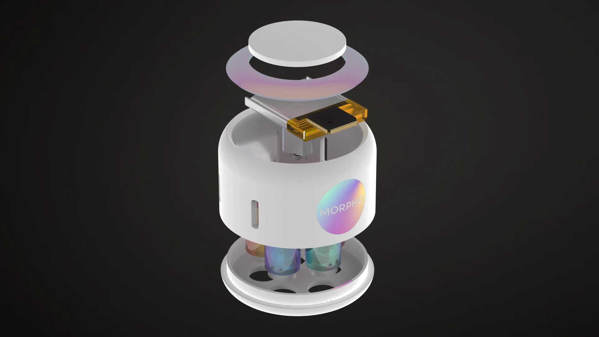 MORPHO 2.jpg