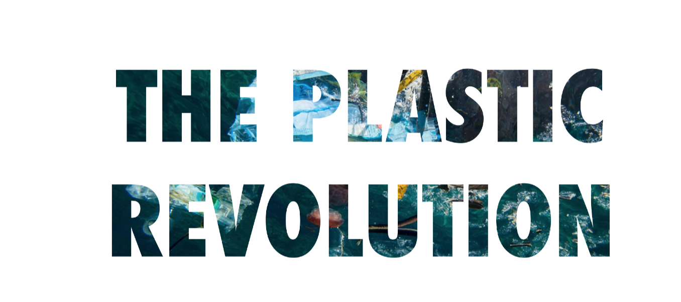 Plastic Rev 4.png