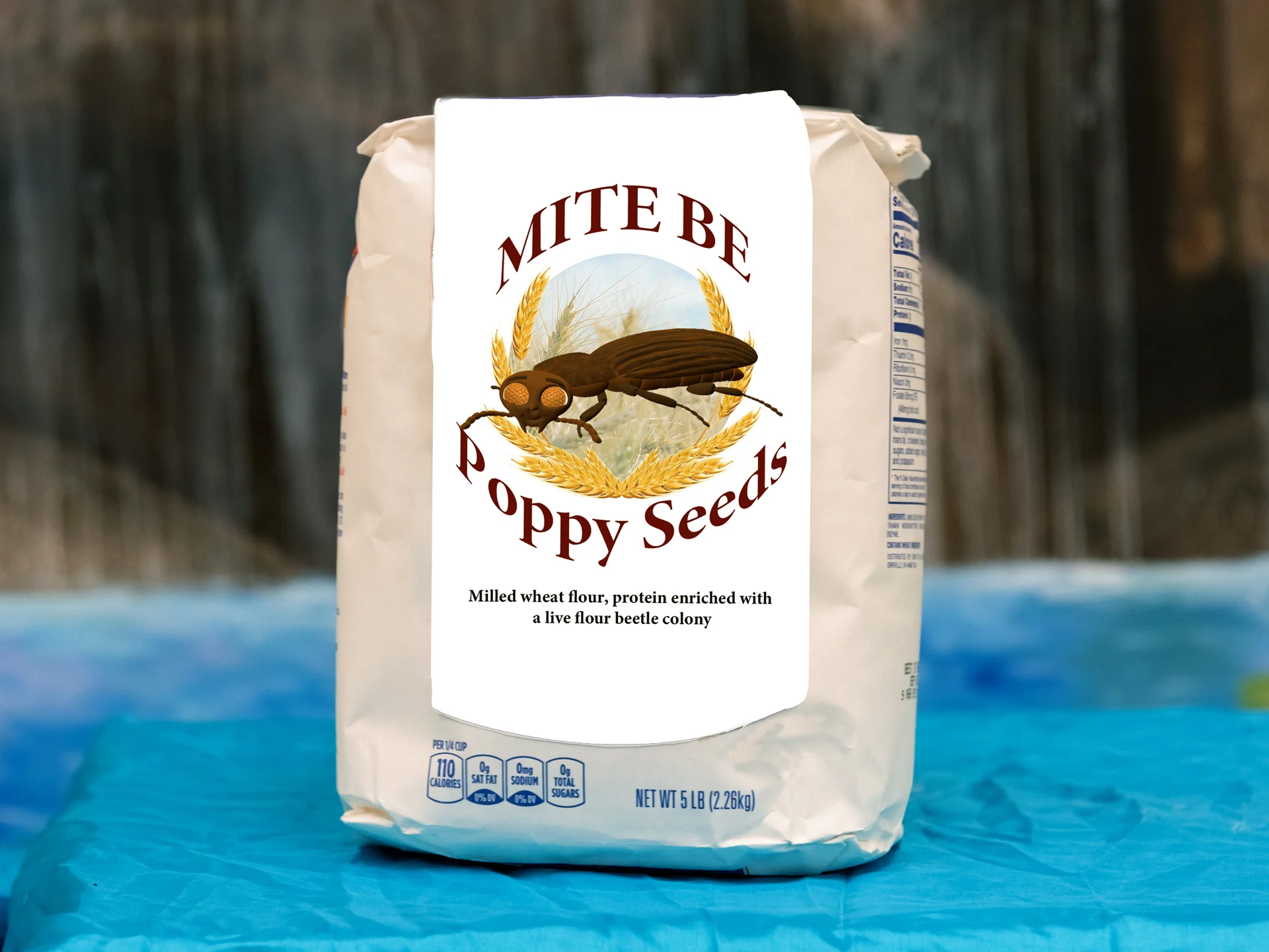Mite Be 1.jpg