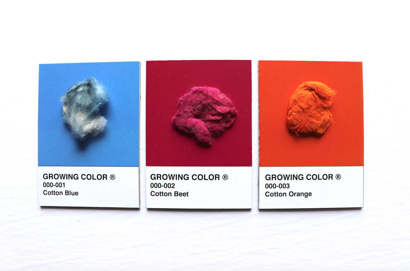 GROWING COLOR PROTOTYPES 3.png