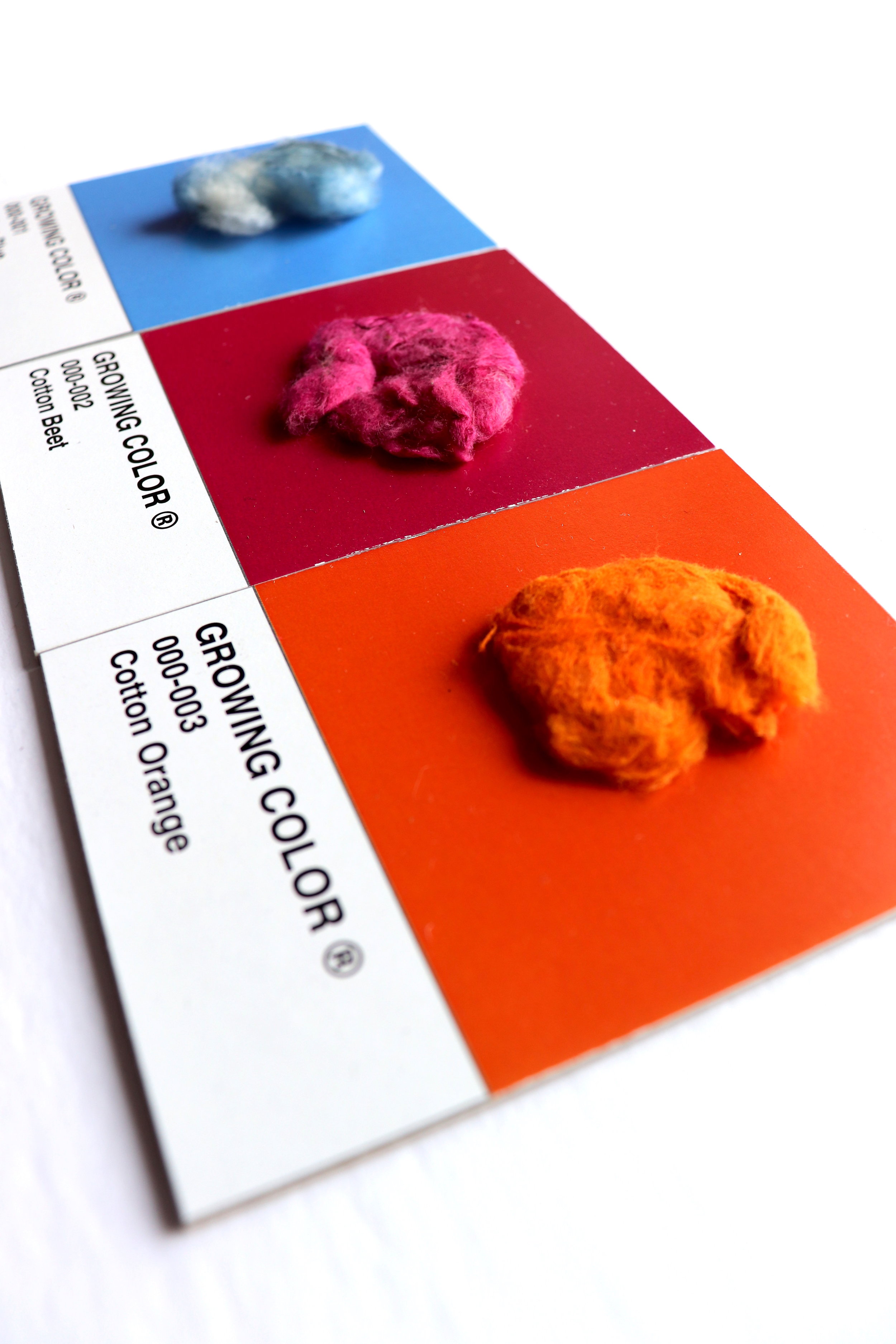 GROWING COLOR PROTOTYPES 2.JPG