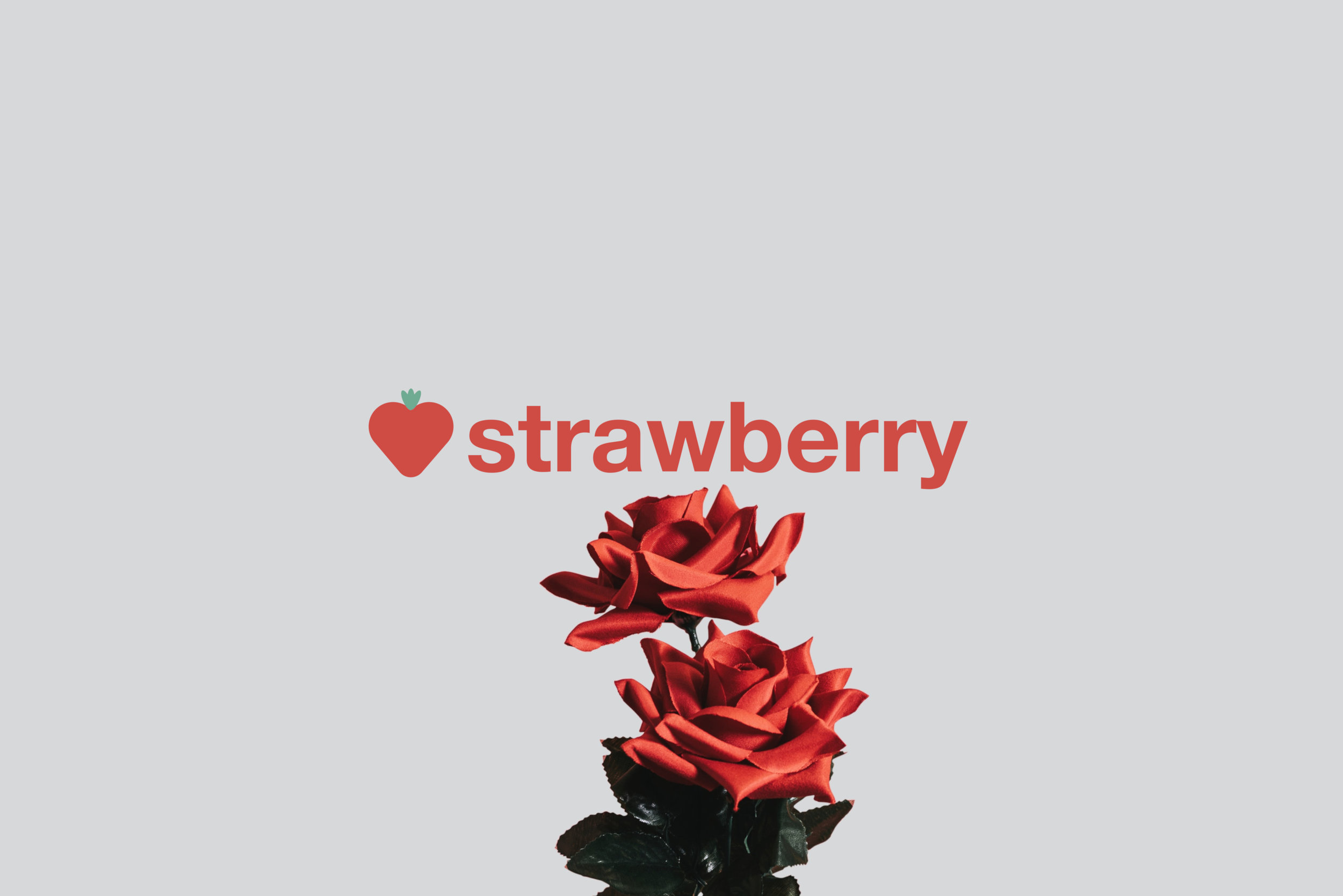 Strawberry 4.jpg