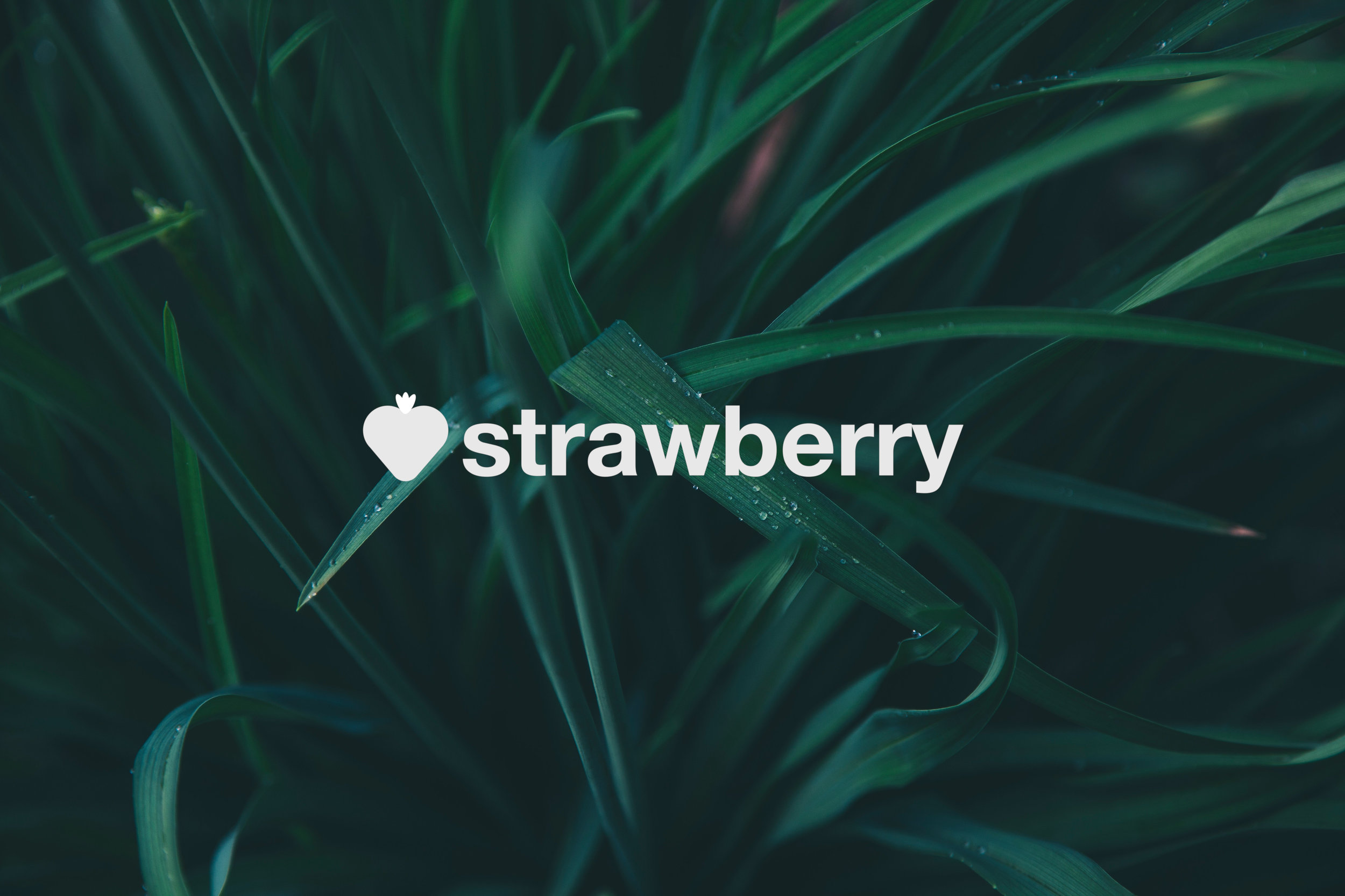 Strawberry 2.jpg