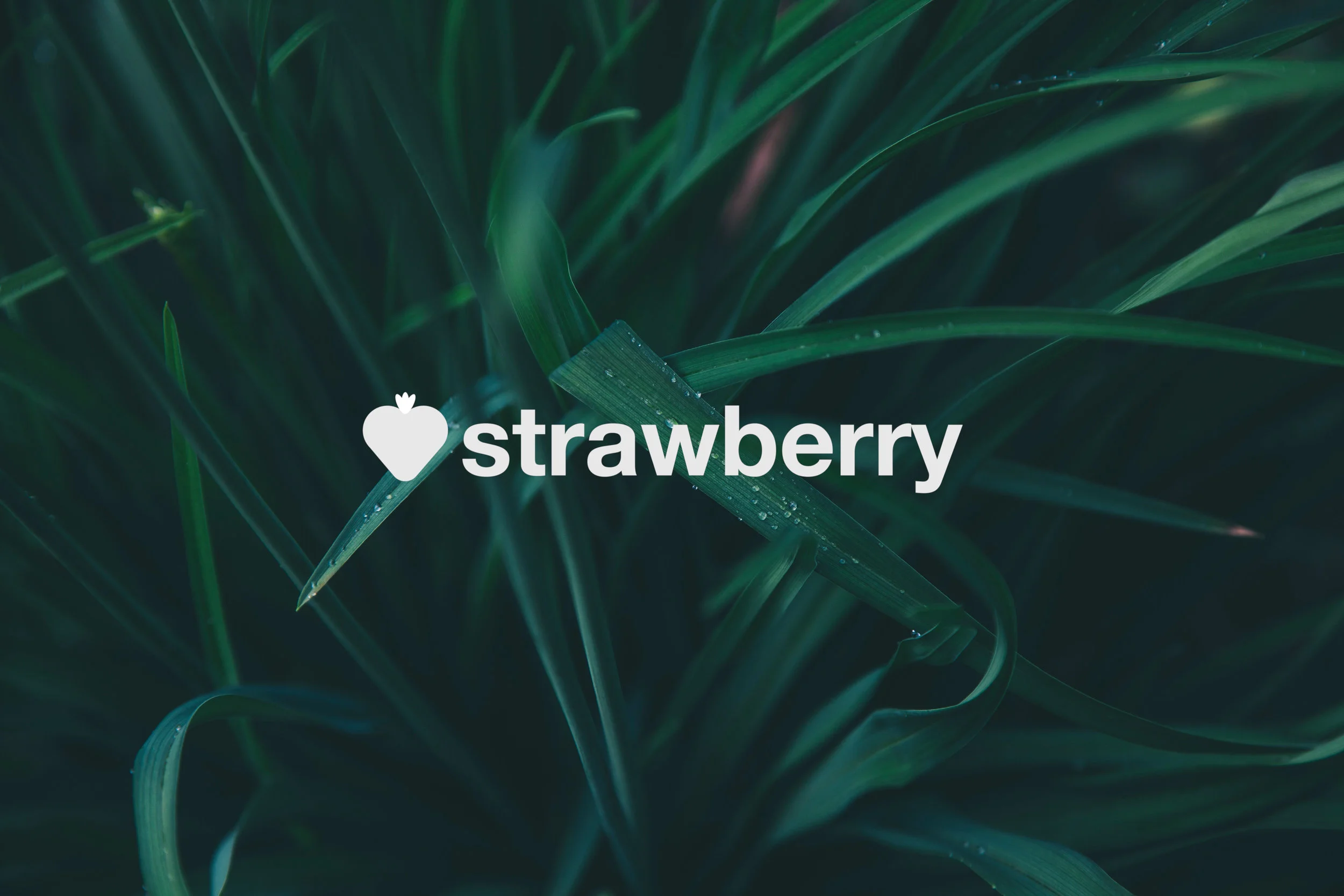 Strawberry 2.jpg