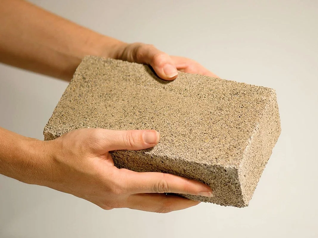 biobrick.jpg
