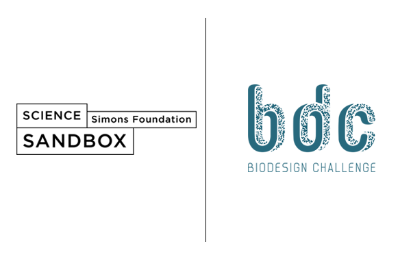 Science Sandbox Joins as a Partner for BDC 2020