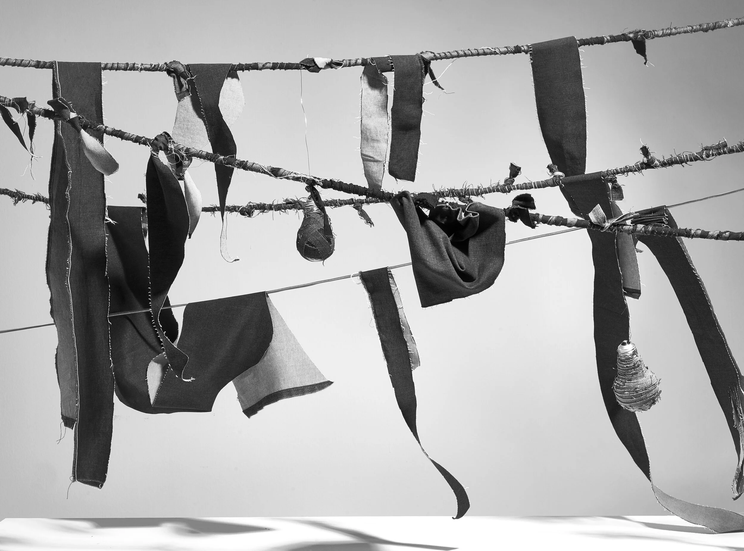 Sportswear International: How Biodesign Inspires Orta