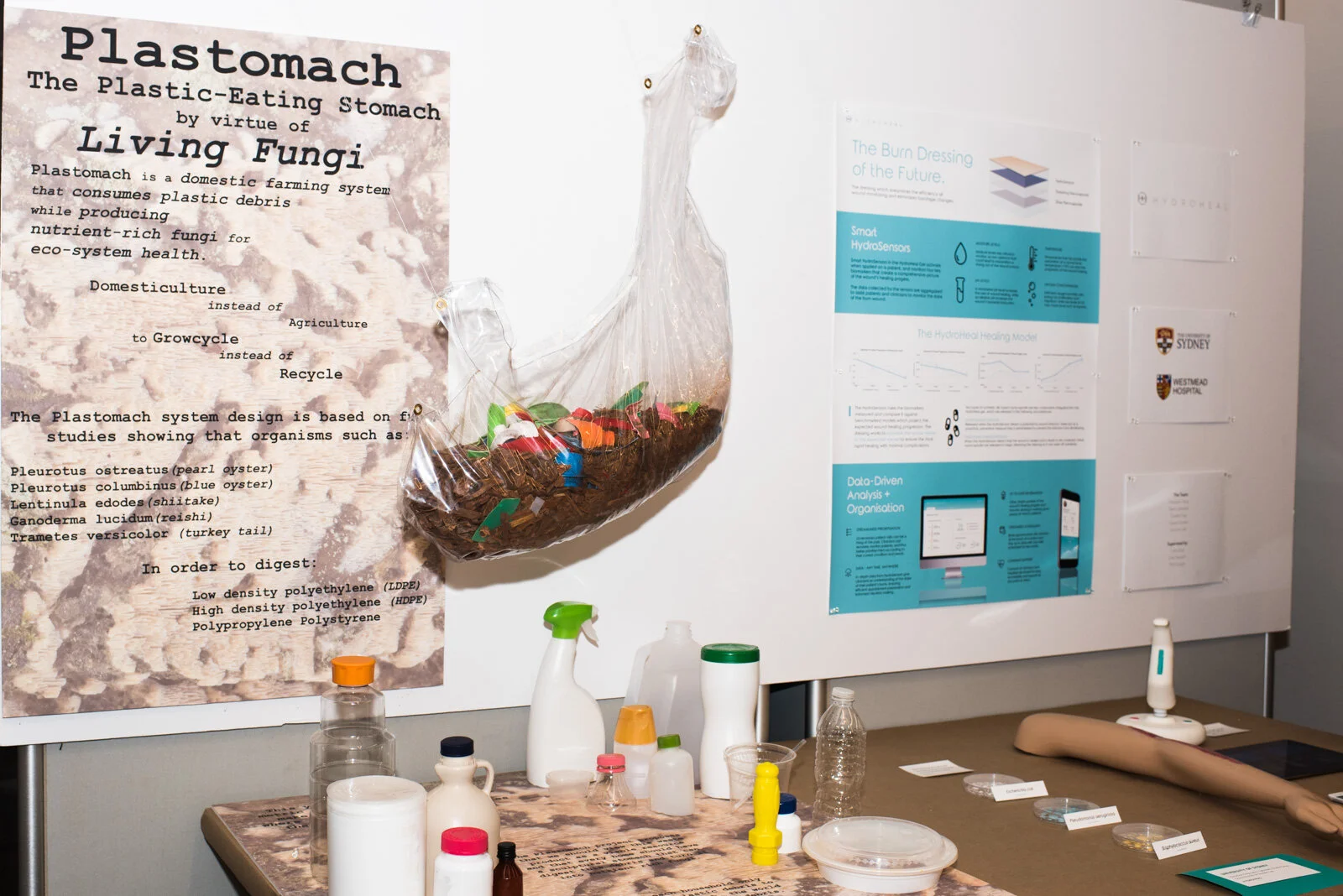 SciArt Magazine: Home Is Where the Plastic Eating Stomach Is