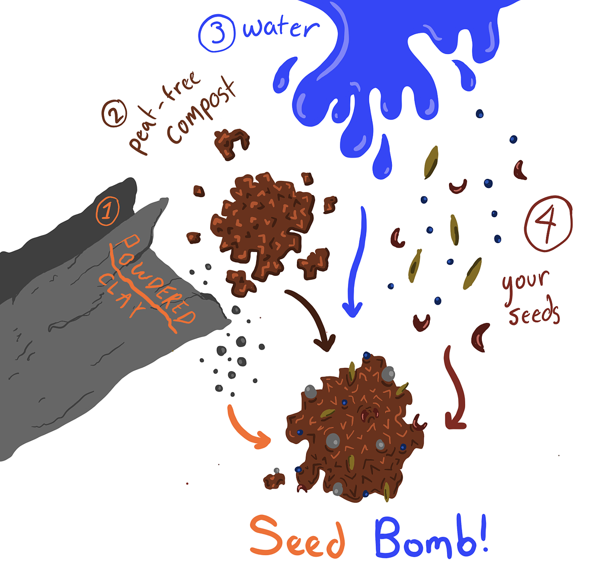 seed bomb directions.png