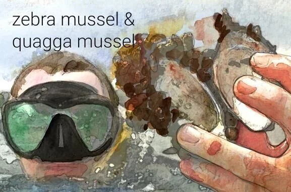 CCS: Team Wins International Biodesign Challenge